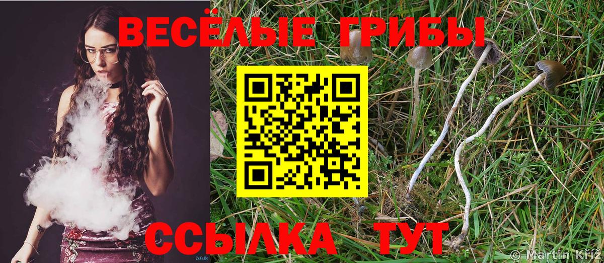 Псилоцибиновые грибы Magic Shrooms  Галлюциногенные грибы прущие грибы  Вход с VPN  Воскресенск 